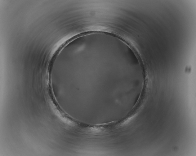 X0000112021125200908031350