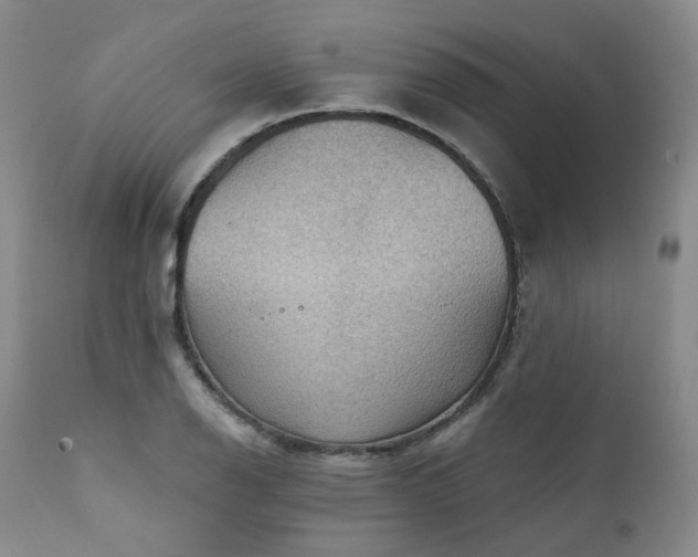 X0000112021126200908031350