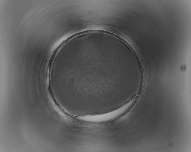 X0000112021127200908031350