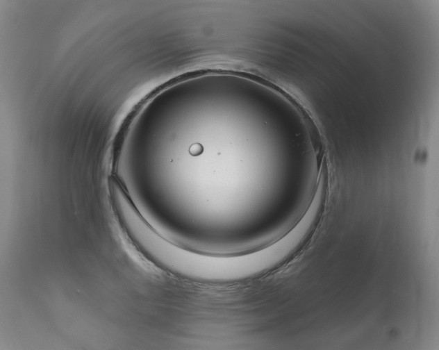 X0000112021128200908031350