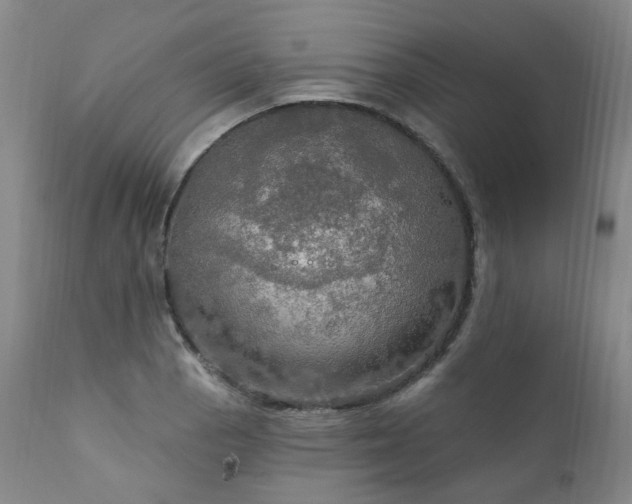 X0000112021129200908031350