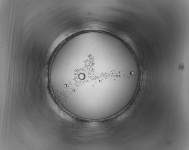 X0000112021130200908031350