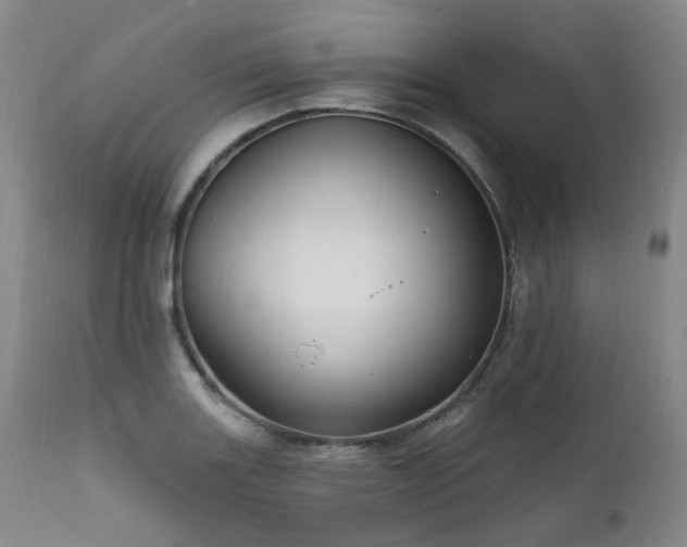 X0000112021131200908031350