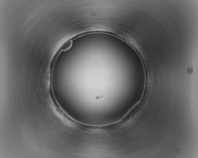 X0000112021132200908031350