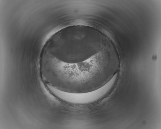 X0000112021133200908031350