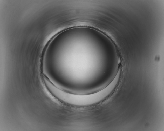 X0000112021134200908031350