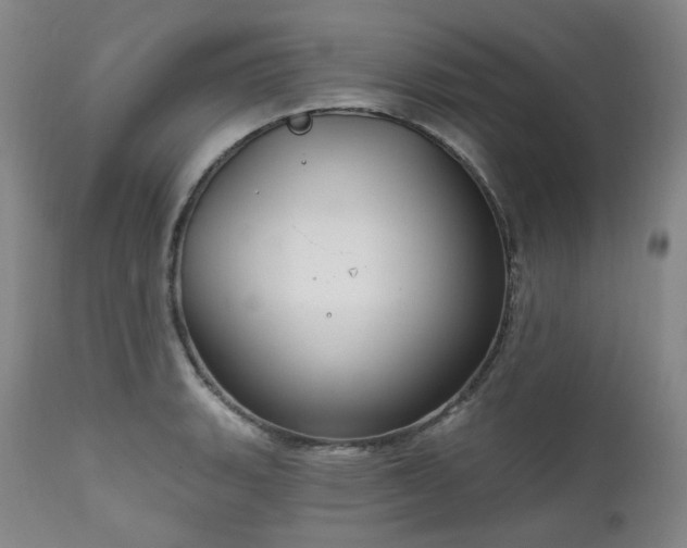 X0000112021135200908031350