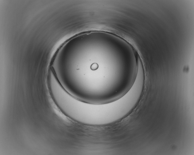 X0000112021136200908031350