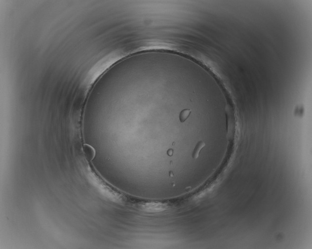 X0000112021137200908031350