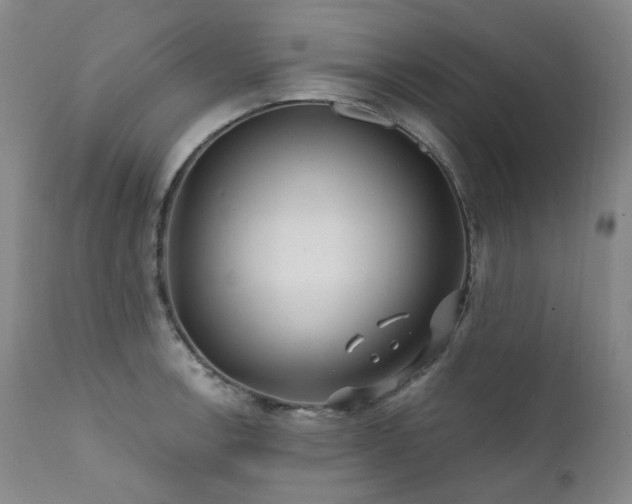 X0000112021138200908031350