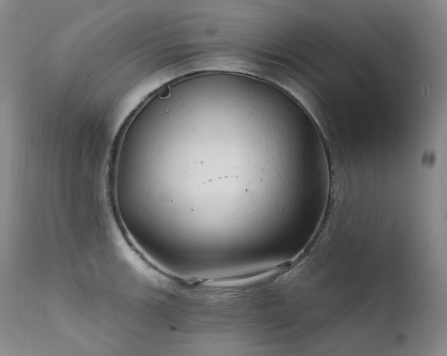 X0000112021139200908031351