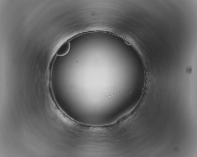 X0000112021140200908031351