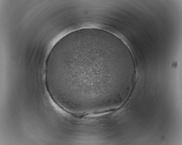 X0000112021143200908031351