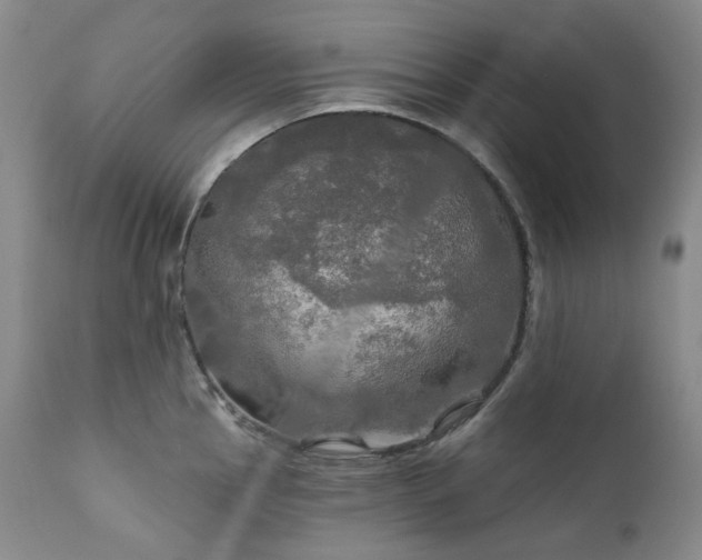 X0000112021145200908031351