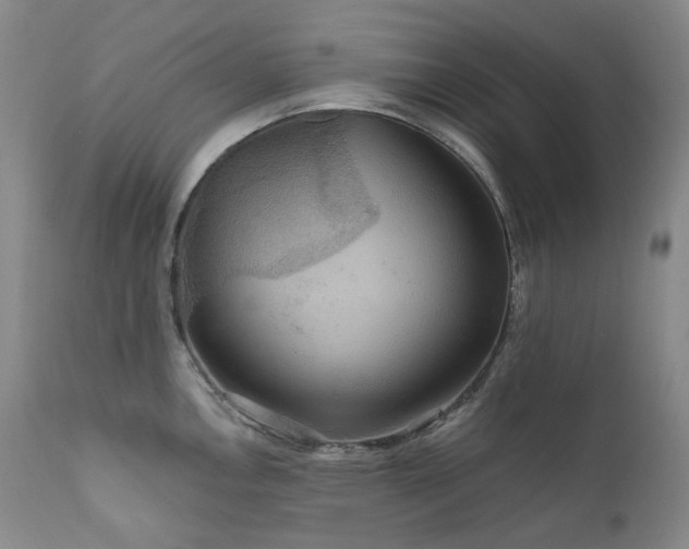 X0000112021146200908031351