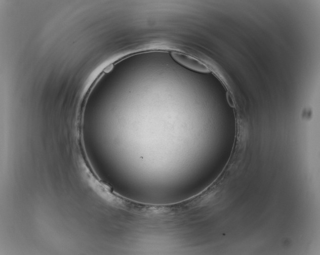 X0000112021148200908031351