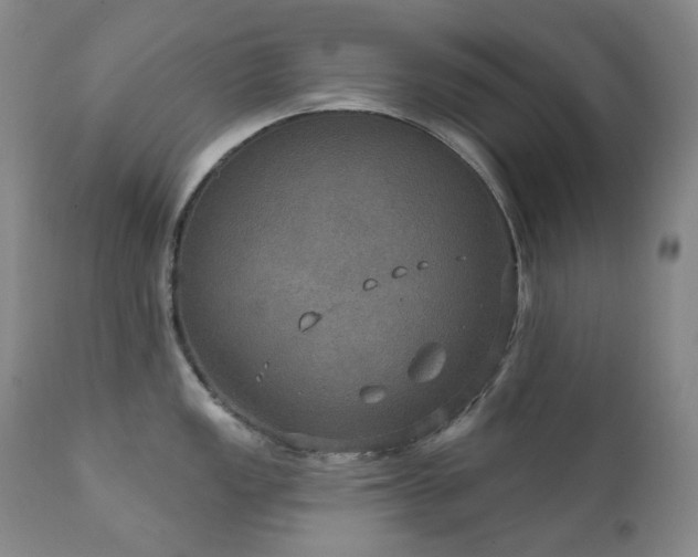 X0000112021149200908031351