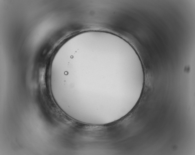 X0000112021150200908031351