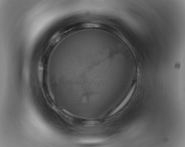 X0000112021151200908031351