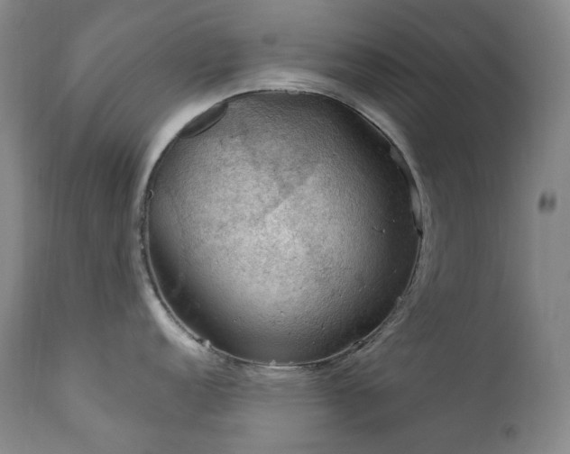 X0000112021152200908031351