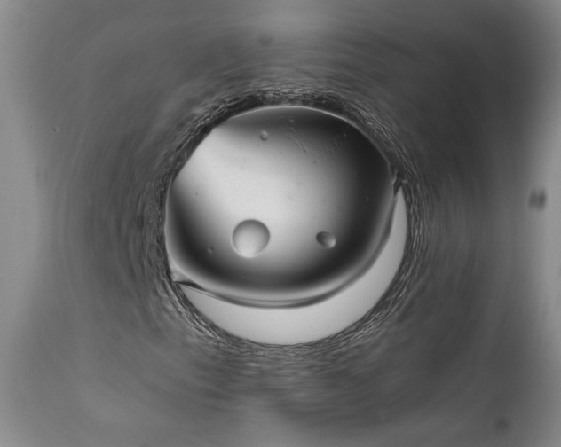 X0000112021153200908031350