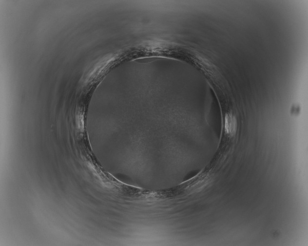 X0000112021155200908031350