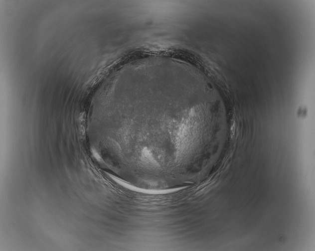 X0000112021156200908031350