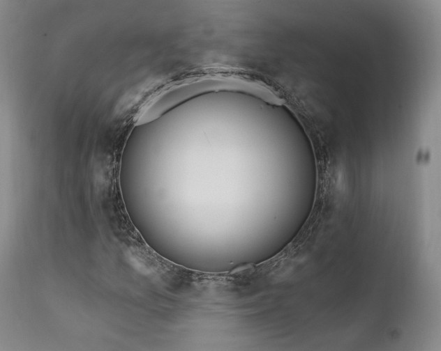 X0000112021157200908031350