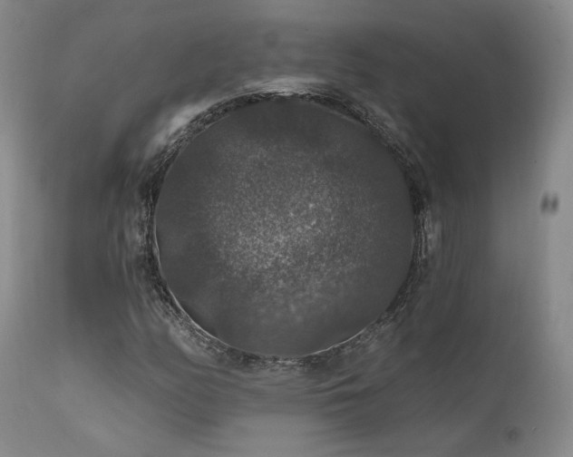 X0000112021158200908031350