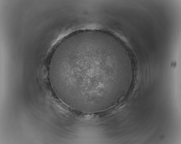 X0000112021160200908031350