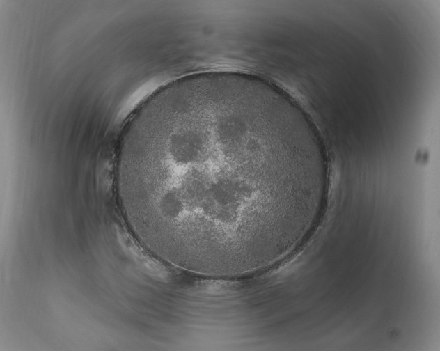 X0000112021163200908031350