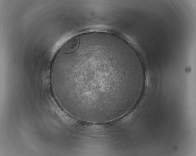 X0000112021164200908031350