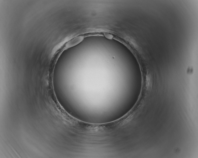 X0000112021165200908031350