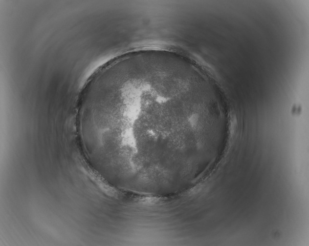 X0000112021166200908031350