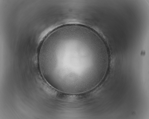 X0000112021167200908031350