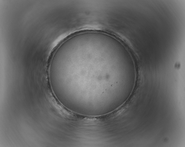 X0000112021168200908031350