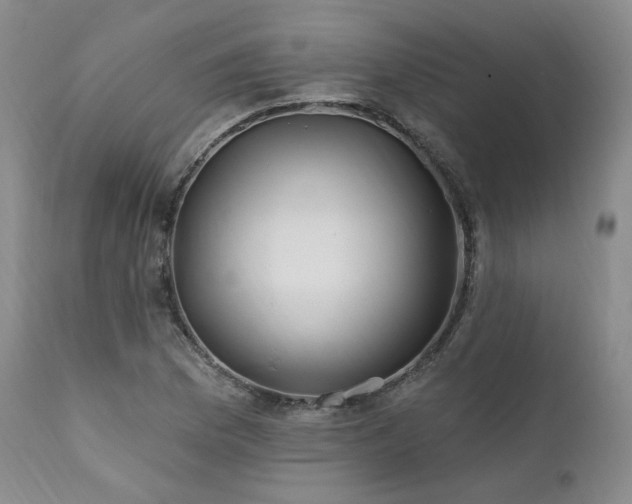 X0000112021169200908031350