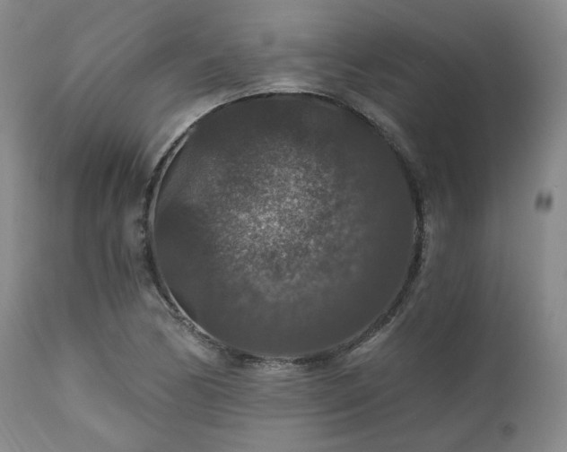 X0000112021170200908031350