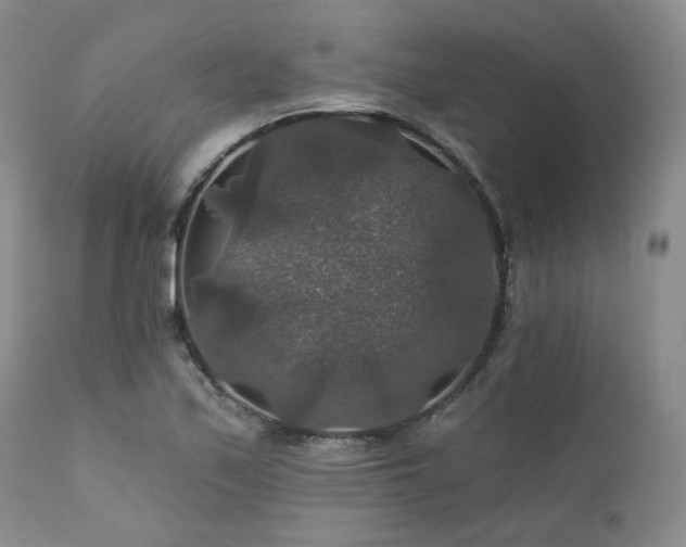 X0000112021171200908031350