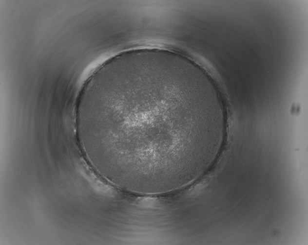 X0000112021172200908031350