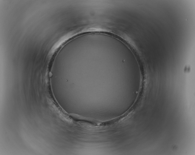 X0000112021173200908031350