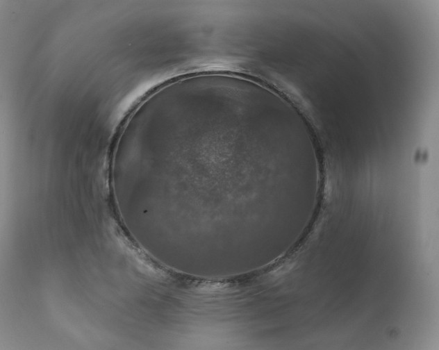 X0000112021174200908031350