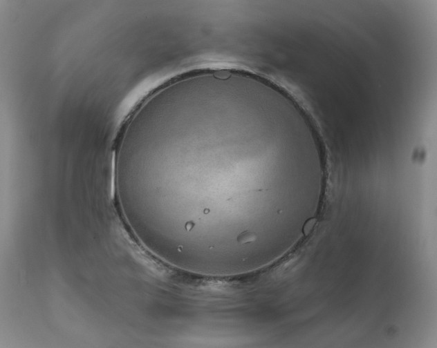 X0000112021175200908031350