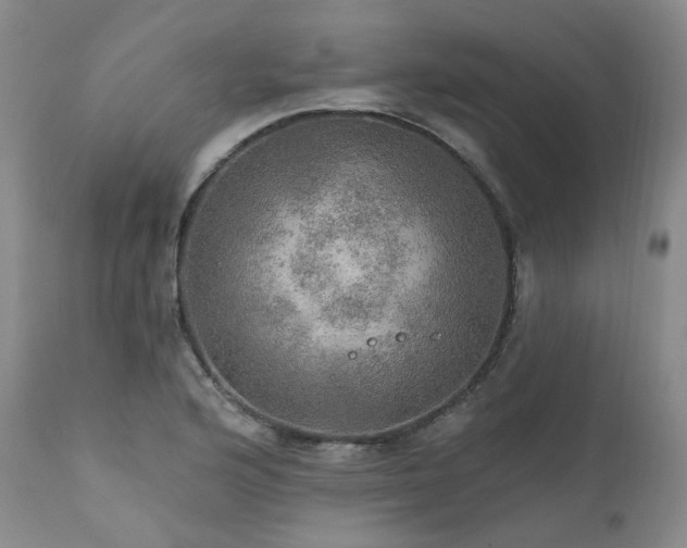 X0000112021176200908031350