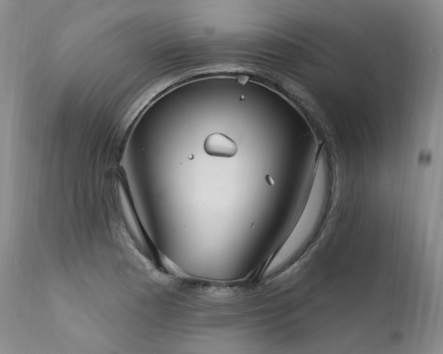 X0000112021177200908031350