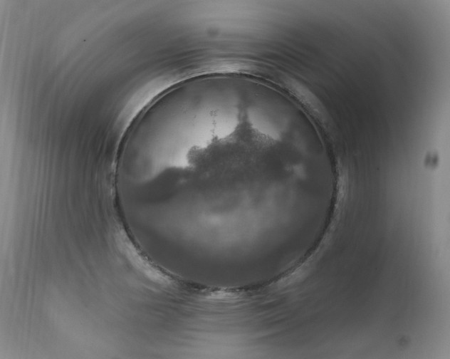 X0000112021178200908031350