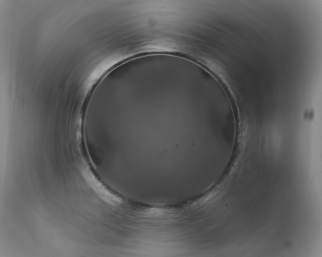 X0000112021179200908031349