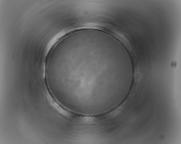 X0000112021180200908031349