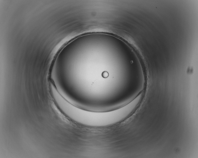 X0000112021181200908031349