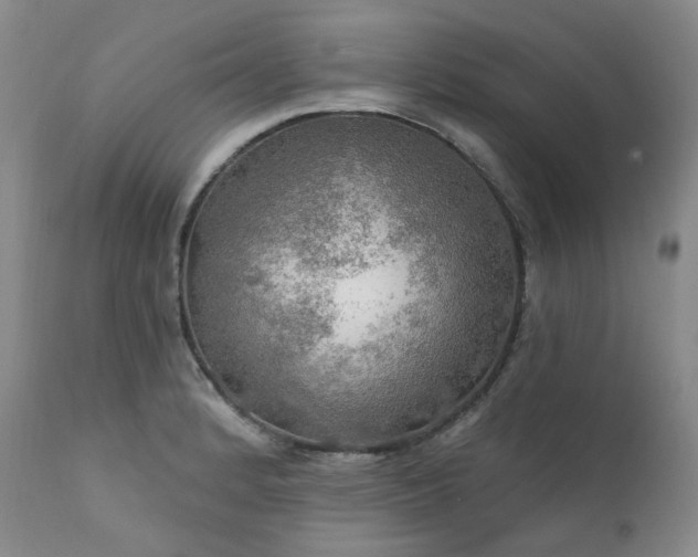 X0000112021184200908031349